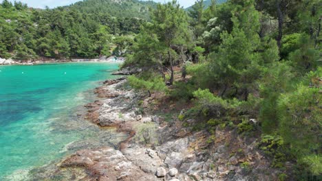 Cinematic-Side-View-From-Behind-A-Fir-Tree-Revealing-The-Beautiful-Glifoneri-Beach-With-White-Sands,-Clear-Water-And-Lush-Vegetation,-Thassos-Island,-Greece,-Europe