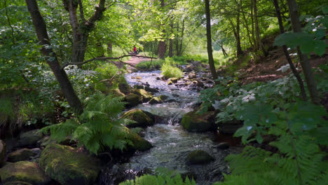 Langsam-Fließender-Fluss,-Der-Sanft-über-Felsige-Wasserfälle-Fließt