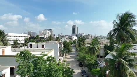 Vista-Aérea-De-árboles-Verdes-Que-Se-Alinean-En-La-Calle-Residencial-Del-Mercado-En-Karachi