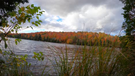 Graue-Wolken-über-Dem-Herbstsee-Mit-Rotgrünen-Bäumen-Im-Hintergrund-4k