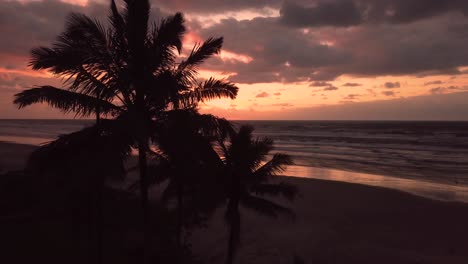 Beautiful-sunset-with-red-sky-and-palm-trees,-Atlantic-ocean,-Itanhaem-beach,-Brazil