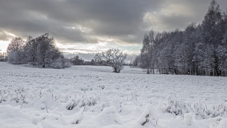 A-snowy-landscape-of-a-meadow-surrounded-by-trees-from-sunset-to-sunrise-time-lapse