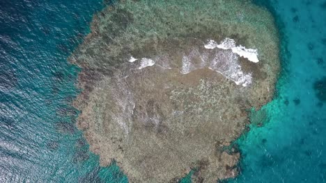 Waves-break-over-reef-crest-of-coral,-red-sea-Jeddah-saudi-arabia,-aerial-top-down