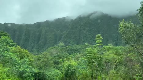 Jardín-Botánico-De-Hawaii-Con-Exuberante-Selva-Tropical-Y-Paisajes-Montañosos
