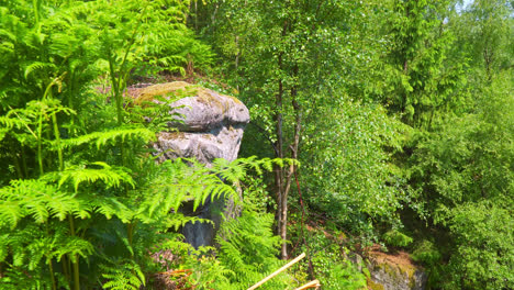 Rocky-outcrop,-cliff-edge-in-a-woodland,-forest-scene-with-trees-and-summer-sunshine