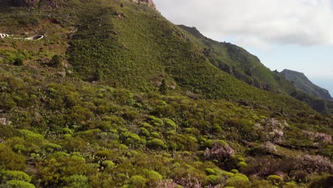 Espectacular-Colina-De-Montaña-Cubierta-De-Arbustos-Tropicales-Verdes