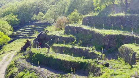 Landwirte-Im-Valle-Del-Jerte-In-Spanien-Arbeiten-An-Der-Terrassenbewässerung-Und-Dem-Umstellen-Von-Pflanzen