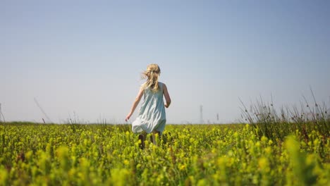 Low-angle-slomo-tracking-of-girl-in-summer-dress-running-in-yellow-flower-field