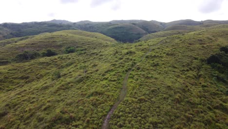 Luftbild,-Bauernwanderweg-Zu-Den-Bizarr-Aussehenden-Grünen-Teletubbies-Hügeln-Auf-Der-Insel-Nusa-Penida,-Die-Wegen-Ihres-Fruchtbaren-Vulkanischen-Bodens-Für-Terrassenlandwirtschaft-Genutzt-Werden