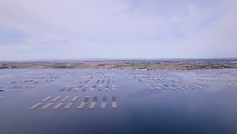 Ascending-aerial-over-vast-surface-of-seafood-oyster-farm-near-Sète-city,-south-of-France