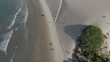 AERIAL---Parasols-and-people-on-Genipabu-beach,-Brazil,-top-down-forward-tilt-up-reveal