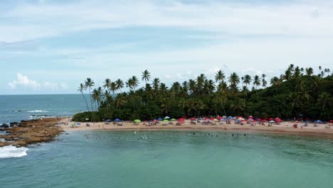 Dolly-Out-Drohnenaufnahme-Des-Beliebten-Tropischen-Strandes-Von-Coquerinhos-Mit-Sonnenschirmen-Und-Touristen,-Die-In-Einem-Natürlichen-Pool-Im-Atlantischen-Ozean-In-Conde,-Paraiba,-Brasilien-Schwimmen