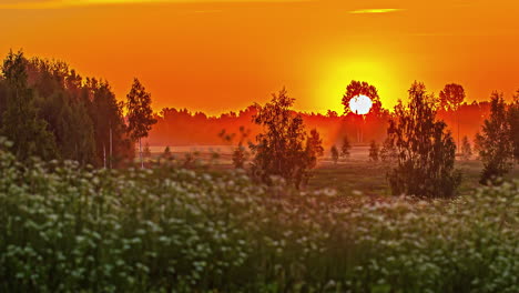 Misty-rural-landscape-and-bright-majestic-sunrise,-time-lapse