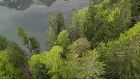 View-of-forest-and-lake-Klöntalersee-Glarus-Canton,-Switzerland