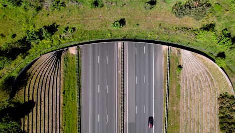 Steady-top-down-aerial-view-of-cars-and-transit-traversed-by-wildlife-crossing-ecoduct-bridge-for-animals-to-migrate-between-conservancy-areas