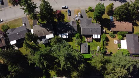 Luftaufnahme-Eines-Vorstadtviertels-In-Surrey,-BC-Mit-Luxuriösen-Häusern-Und-üppigen-Grünen-Bäumen