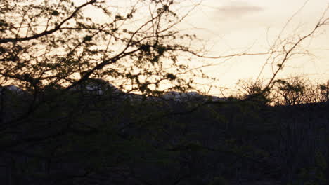 Langsamer-Sonnenaufgang-Durch-Baumzweige-Und-Bergsilhouette-In-Hawaii,-4k