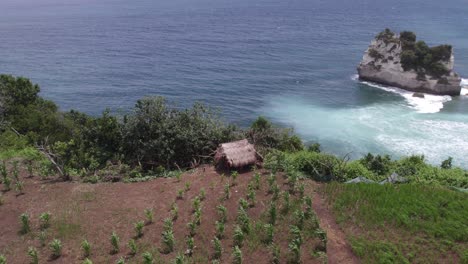 Paradise-coastline-with-small-local-hut-on-edge-of-massive-cliff-at-Sumba,-aerial