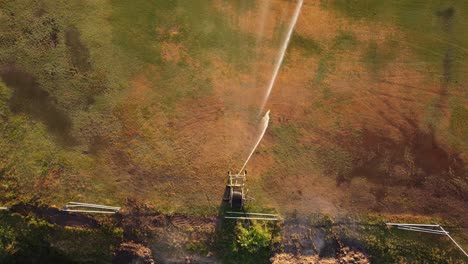 Aerial-top-down-shot-of-sprinkler-watering-burned-grass-field-after-heat-in-Buenos-Aires---Climate-change-and-global-warming-scene