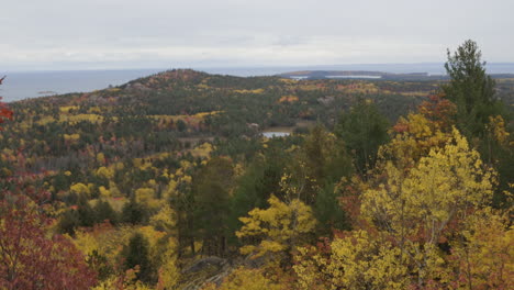 Handheld-landscape-shot-of-forests-on-the-shore-on-Lake-Superior