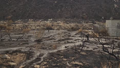 Desert-Landscape-With-Small-Bushes-Burned-by-Fairview-Fire-and-Mud-Ground,-Dolly-Left-Shot