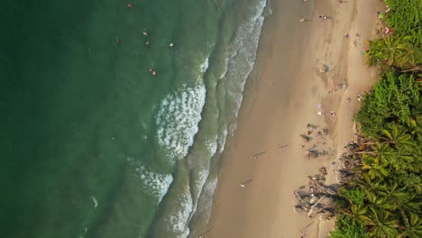 Vertical-drone-view-over-beautiful-beach-in-tropical-jungle