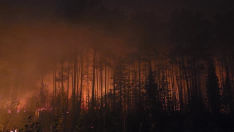 Panoramablick-Auf-Den-Kanadischen-Waldbrand,-Der-Den-Boden-Und-Das-Alte-Holz-Umhüllt