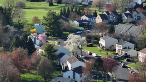Langer-Luftzoom-Blühender-Bäume-Im-Frühling-In-Der-Amerikanischen-Nachbarschaft