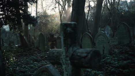Old-overgrown-graves-and-misty-sunshine-in-the-background