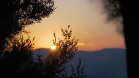 Epischer-Sonnenuntergang-Während-Der-Reise-Durch-Bäume-Mit-Hügeln-Und-Sanftem-Bokeh-In-Zeitlupe-In-Frankreich-In-Ländlicher-Sommerstimmung
