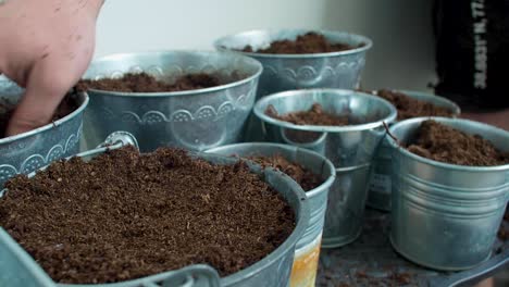 The-pots-are-full-of-soil,-with-each-one-brimming-with-the-earthy-material