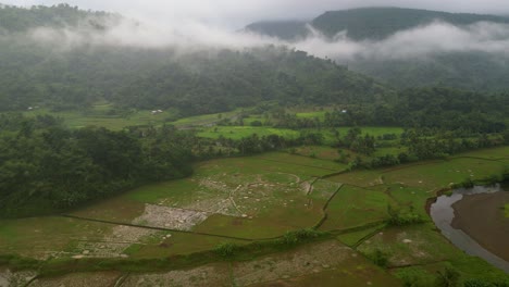 üppiger-Tropischer-Bergwald-Und-Grüne-Felder-In-Catanduanes,-Philippinen