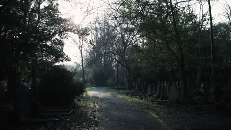 Eine-Straße-Auf-Dem-Friedhof,-Während-Die-Sonne-Scheint