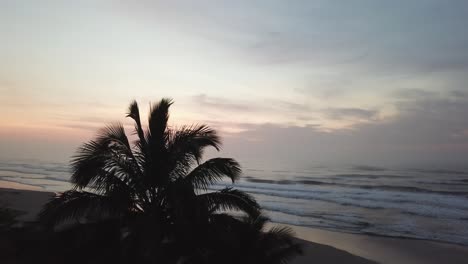 Wunderschöner-Flug-über-Palmen-Und-Strand-Bei-Sonnenaufgang,-Luftaufnahme