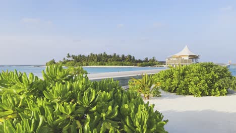 Journey-to-Maldives'-island-paradise-with-the-Breathtaking-Beauty-of-Emerald-Green-vegetation,-Towering-Palm-Trees,-Crystal-Clear-Waters,-and-Unparalleled-Luxury-Accommodations