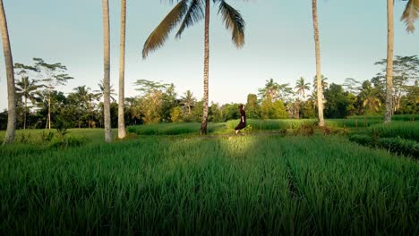 Aerial-scene-of-beautiful-young-woman-walking-barefoot-with-palm-trees-and-rice-rice-terraces-at-the-background