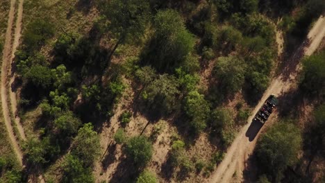 Birds-eye-view-drone-shot-moving-up-while-a-safari-game-drive-vehicle-with-guests-drives-up-a-dirt-road-in-an-african-game-reserve