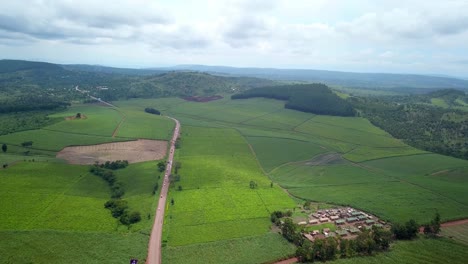 Aerial-View-Of-Road-Between-The-Tea-And-Sugar-Cane-Farm-Near-Jinja-In-Uganda