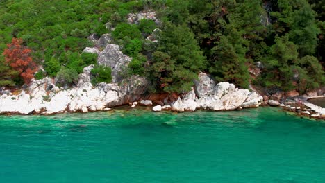 Top-Down-View-Of-A-Rocky-Shore-Line-Near-Glifoneri-Beach,-With-Turquoise-Water-and-Luxuriant-Green-Vegetation,-Thassos-Island,-Greece