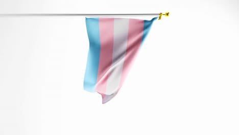 Vertical-video-of-Transgender-Pride-Flag-flapping-against-white-background,-3D