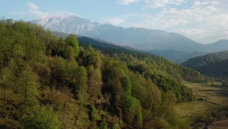 Old-firm-tender-tree-fresh-green-color-of-the-year-in-wild-forest-park-in-local-people-life-village-rural-country-district-landscape-of-Damavand-mountain-Fuji-in-forest-scenic-wide-view-paper-health