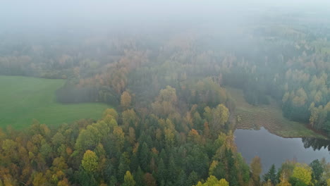 Aerial-view-of-a-landscape-shrouded-in-fog-with-forests,-grassland-and-ponds