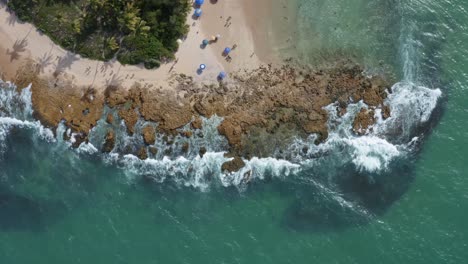 Left-trucking-aerial-drone-bird's-eye-wide-shot-of-the-popular-tropical-Coquerinhos-beach-with-waves-crashing-into-exposed-rocks,-palm-trees,-golden-sand,-turquoise-water-in-Conde,-Paraiba,-Brazil