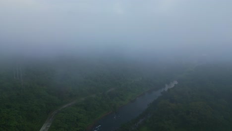Nebel-Verschlingt-Dichtes-Waldtal-Am-Frühen-Morgen