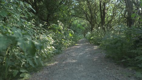 Secluded-woodland-pathway-with-dappled-light-low-angle-slow-motion-at-Thornton-Cleveleys,-Wyre,-Lancashire,-UK