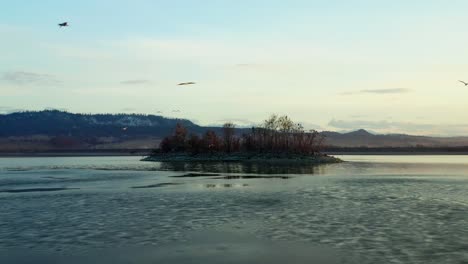 Flock-Of-Birds-Flying-Over-The-Frozen-Lake-Czorsztyn-With-Islet-In-Malopolska,-Poland