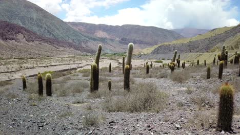 Wüstenlandschaft-Im-Nordwesten-Argentiniens