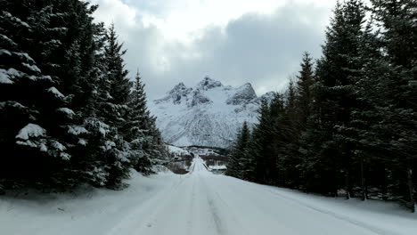 Reisen-Durch-Eine-Schneebedeckte-Straße-Zwischen-Kiefernwäldern-Auf-Den-Lofoten,-Norwegen