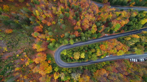 Flight-over-the-forest-in-autumn,-beautiful-colors-with-cars-passing-on-the-road