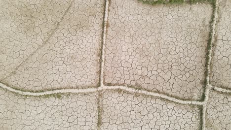 Top-view-of-dry-paddy-fields,-South-Asia,-severe-drought,-zoom-in,-day
